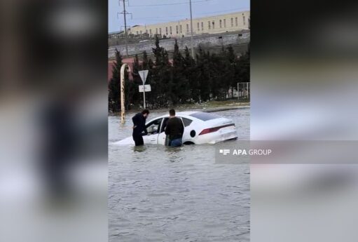 69c93ab1576bc69c93ab1576bd177479544169c93ab1576ba69c93ab1576bb