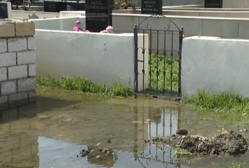 Gemini Generated Image o6pxqro6pxqro6px