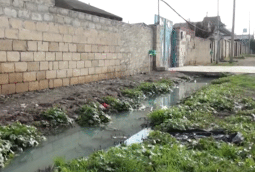 Screenshot 2026 03 07 002622 5