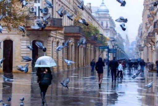 WhatsApp Image 2025 12 08 at 10.00.19 900x581 1