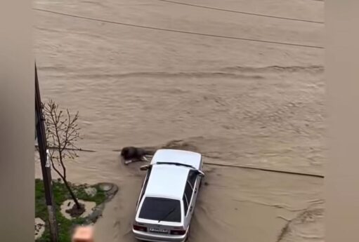 WhatsApp Image 2026 03 28 at 20.26.02