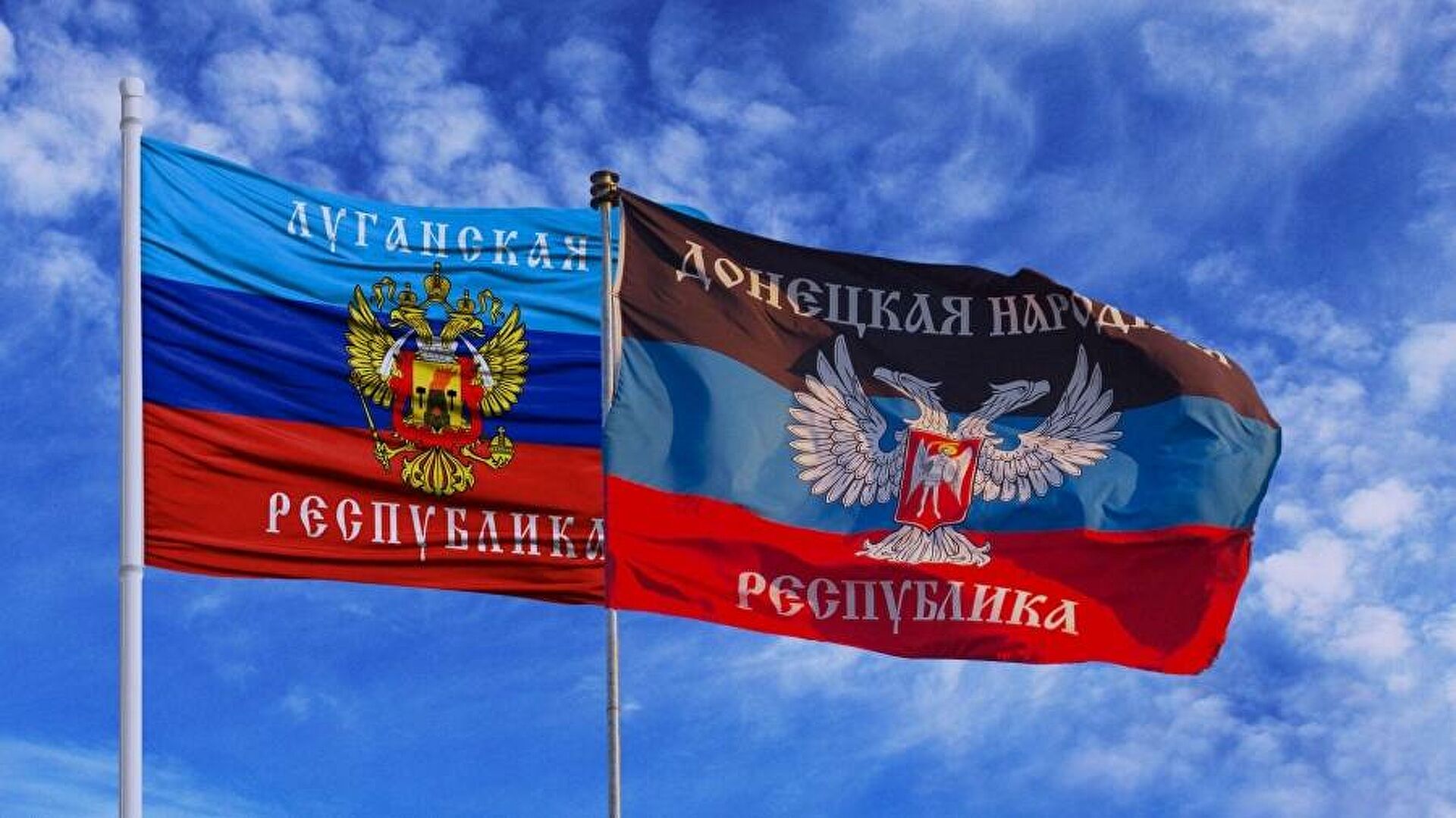 dnr