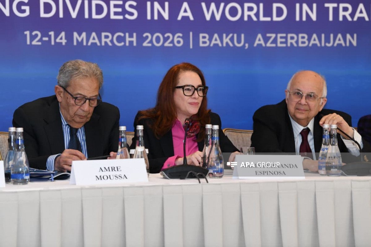 XIII Qlobal Bakı Forumuna həsr olunmuş brifinq - FOTOLAR 8 g 98
