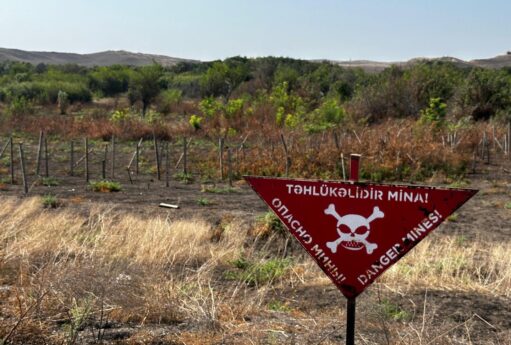 gallery news 202603060804480 16