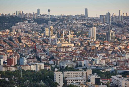 gallery news 202603060804550 8