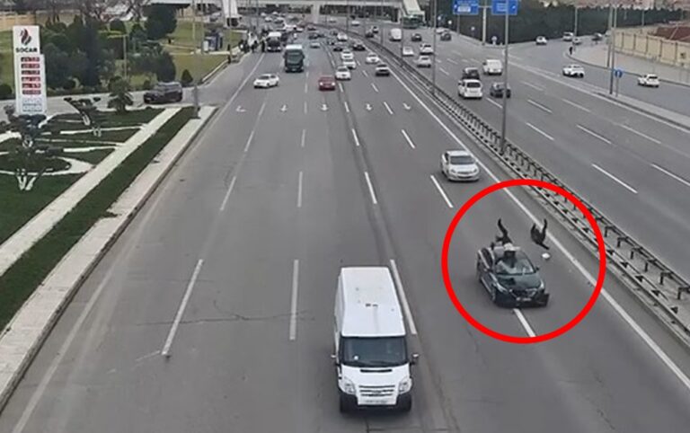 Aeroport yolunda 2 piyadanı maşın vurdu - Anbaan video