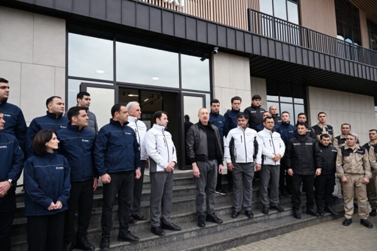 Ət və süd idxalının həcminin azaldılması istiqamətində işlər aparırıq - İlham Əliyev