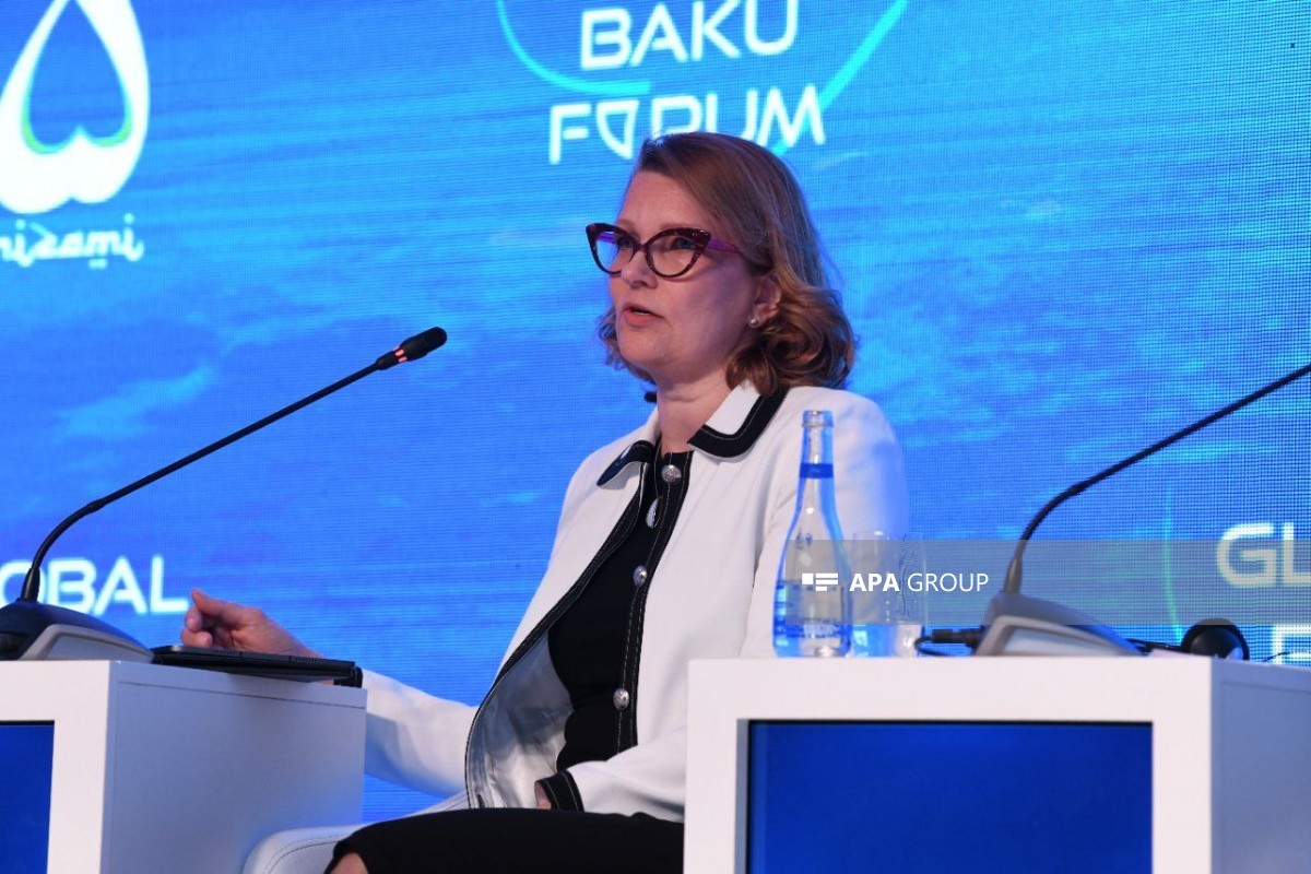 XIII Qlobal Bakı Forumu: növbəti panel müzakirə keçirildi - FOTOLAR 2 pl 2
