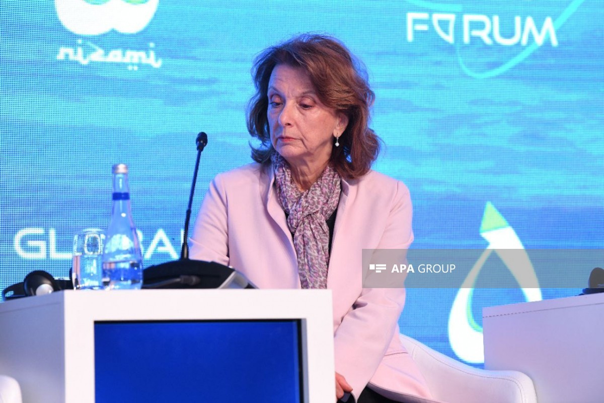 XIII Qlobal Bakı Forumu: növbəti panel müzakirə keçirildi - FOTOLAR 4 pl 4