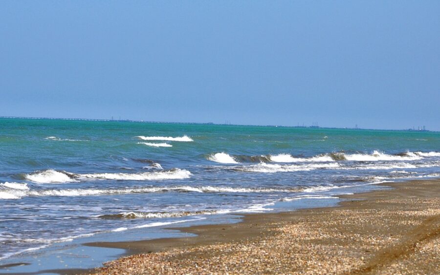 1776959056 17769582421529541545 1200x630 16