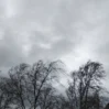 1776959056 17769582421529541545 1200x630 9