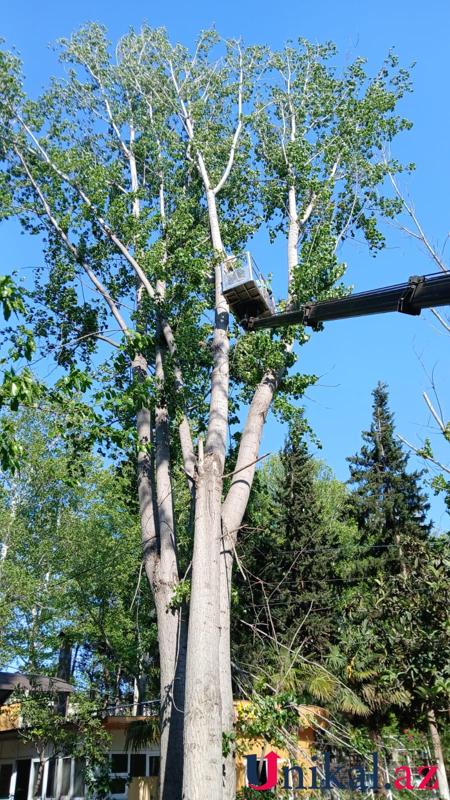 69cbe489080bc69cbe489080bd177496999269cbe489080ba69cbe489080bb 3