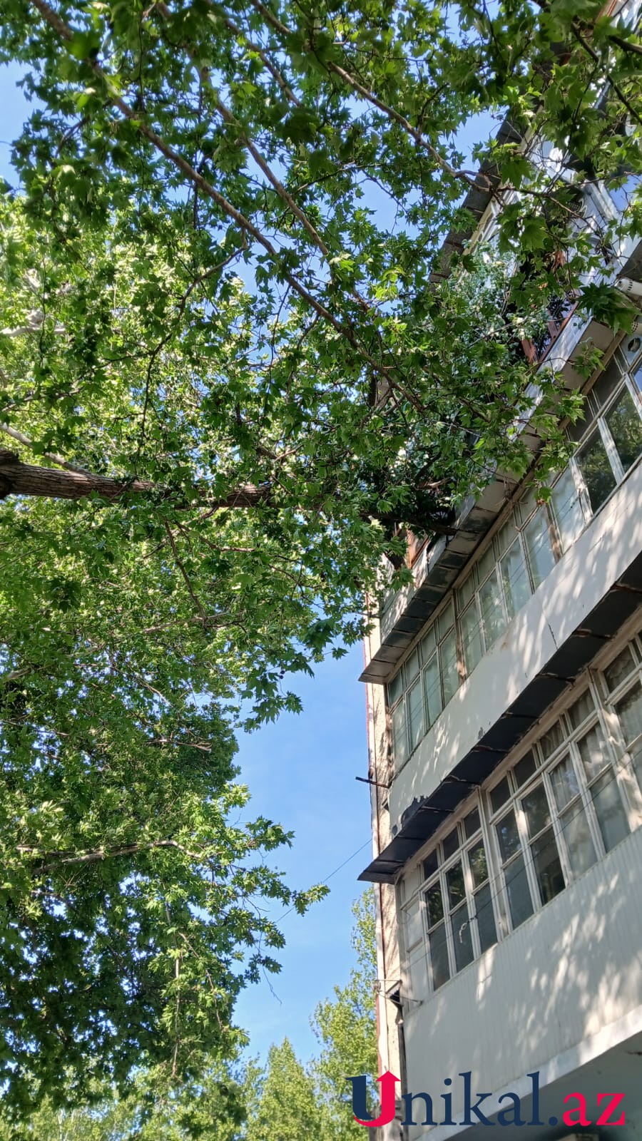 69cbe4893c8dc69cbe4893c8dd177496999269cbe4893c8da69cbe4893c8db 3