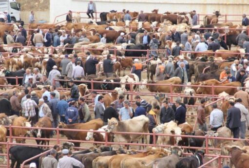 69e2130cc191369e2130cc1914177642369269e2130cc191169e2130cc1912 5