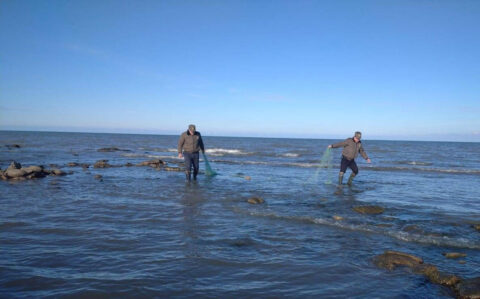 Xəzərlə bağlı QADAĞA: mayın 1-dən etibarən…