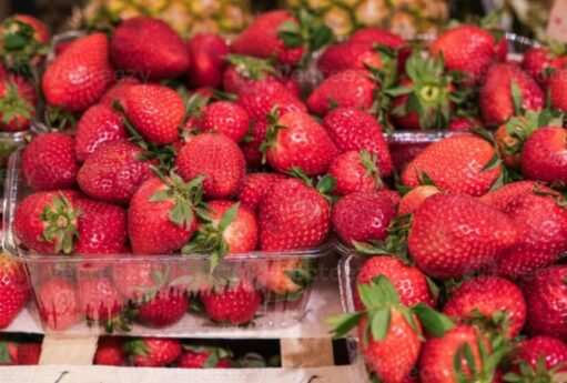 WhatsApp Image 2026 04 10 at 15.39.52 900x547 1