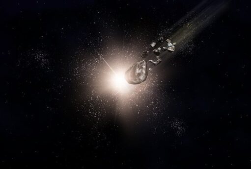 WhatsApp Image 2026 04 20 at 17.37.33