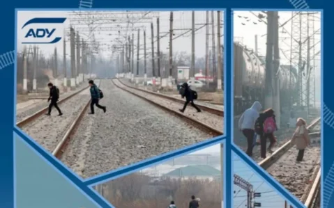 İnsan müdaxiləsinə görə 4 toqquşma hadisəsi baş verib – ADY