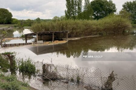 Kürün səviyyəsi artdı: Zərdabı su basdı – FOTOLAR