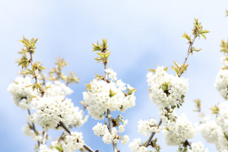 Sabah 24 dərəcə isti olacaq