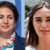 iradenin telebesi