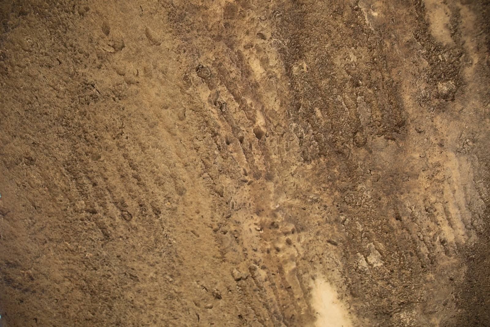 Qobustan qoruğunda yeni qayaüstü təsvirlər... - FOTOLAR 2 qob 2