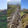surusme