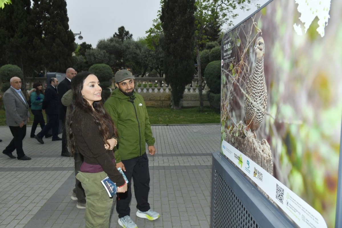 “Azərbaycan təbiətinin izi ilə” sərgisinin açılışı oldu – FOTOLAR 1 1 19