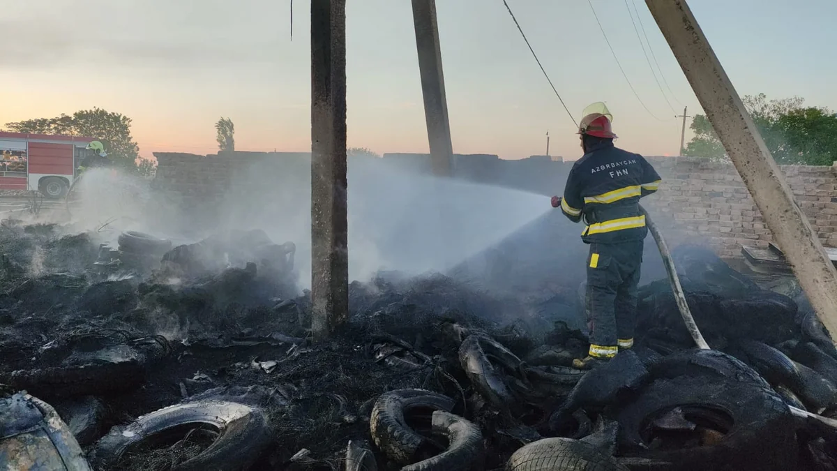 1778337989 80d60efe6645ddbbc7ee838ac3288321