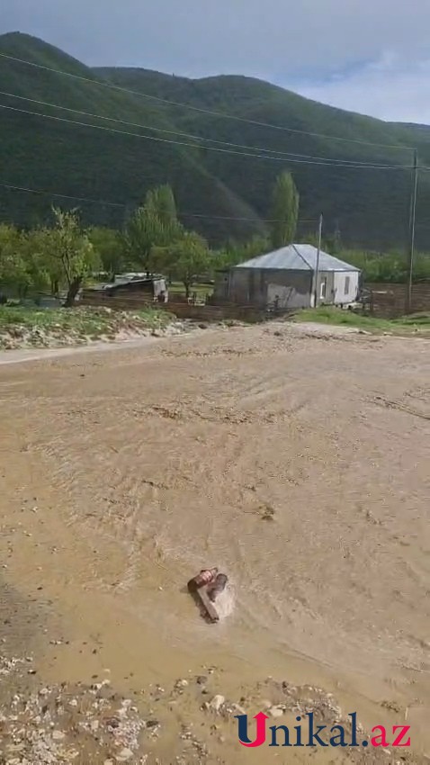 1778858405 WhatsApp Image 2026 05 15 at 18.55.44