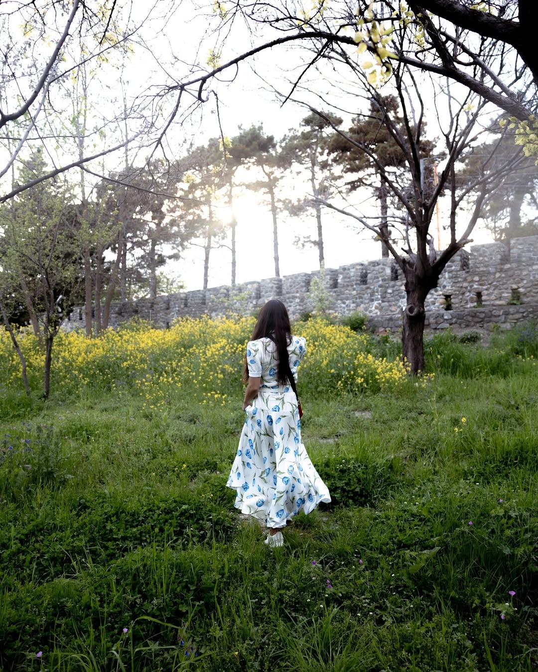 Leyla Əliyeva yeni şeirini təqdim etdi - FOTOLAR 3 2 61