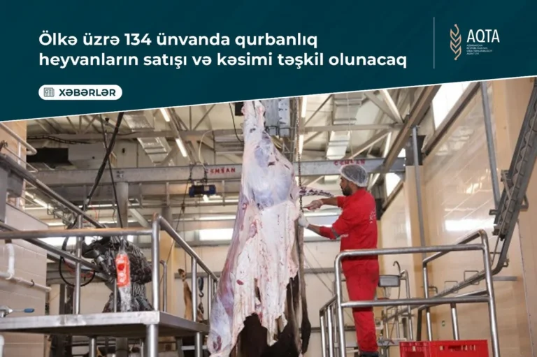 Qurbanlıq heyvanların satışı və kəsimi 134 ünvanda olacaq - Siyahı