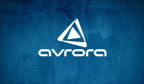 “Avrora Qrup” aztəminatlı ailələrə bayram sovqatı çatdırdı – FOTOLAR