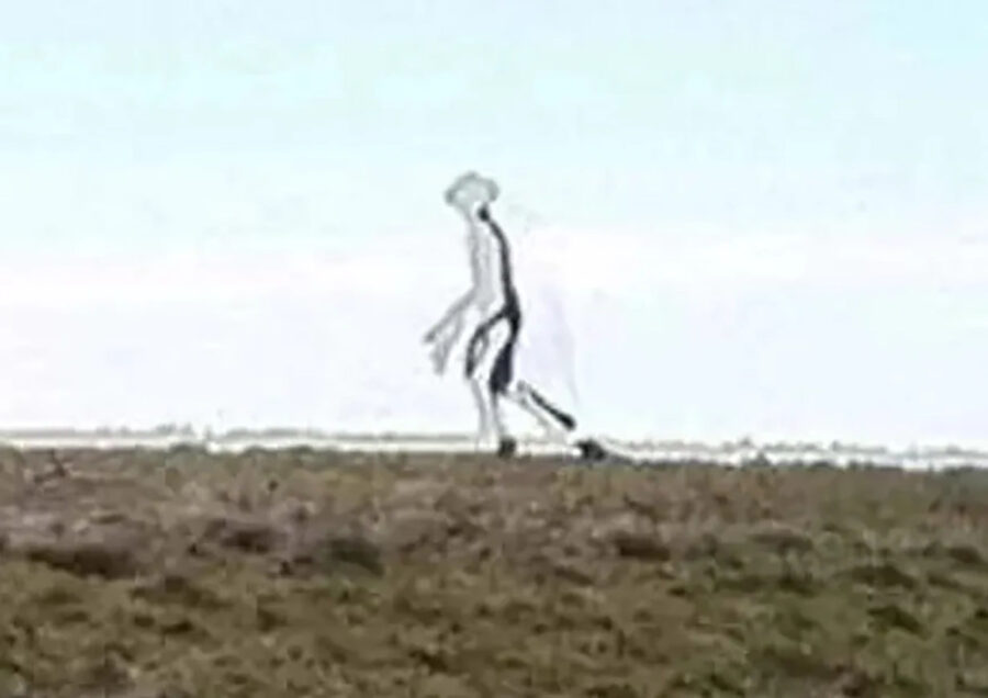 FBI reveals photo of giant mantis headed ALIEN is not fake 2 900x636 1