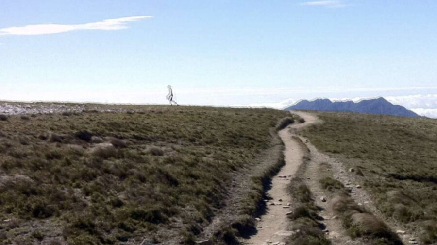 FBI reveals photo of giant mantis headed ALIEN is not fake 3 1536x860 1