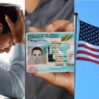 Green card qrin kart1 900x601 1