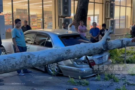 Güclü külək ağacı avtomobilin üstünə aşırdı, fəsadlar yarandı