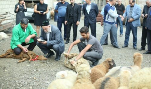 Qurban kəsərkən edilən böyük səhvlər – İllərdir yanlış bilirmişik