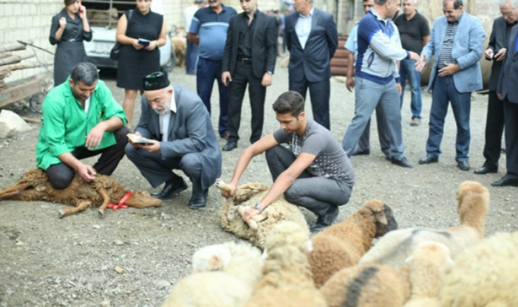 Qurban kəsərkən edilən böyük səhvlər – İllərdir yanlış bilirmişik