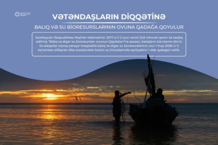 baliq ovu
