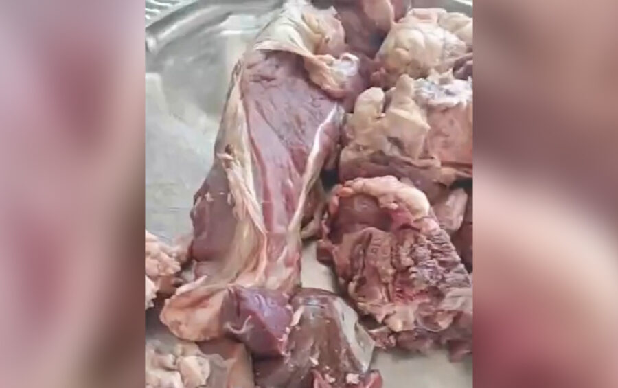 et qurbanliq 900x565 2