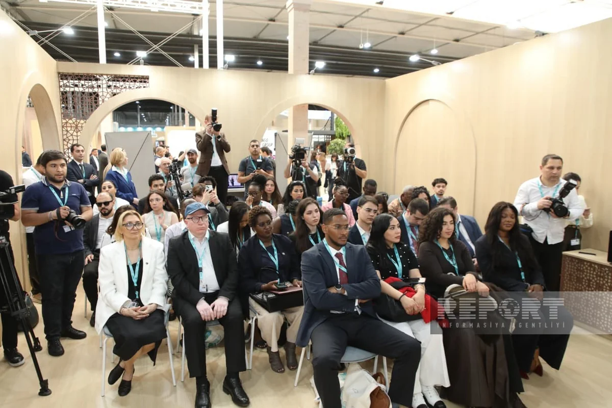 WUF13: BTQ dekolonizasiya mövzusunda beynəlxalq konfrans keçirdi - FOTOLAR 6 fh 6