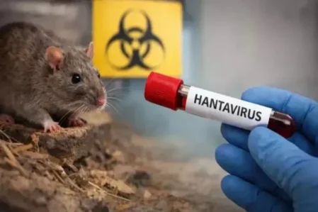 Hantavirusa yoluxanların sayı artır – Yeni rəqəmlər