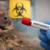 hantavirus