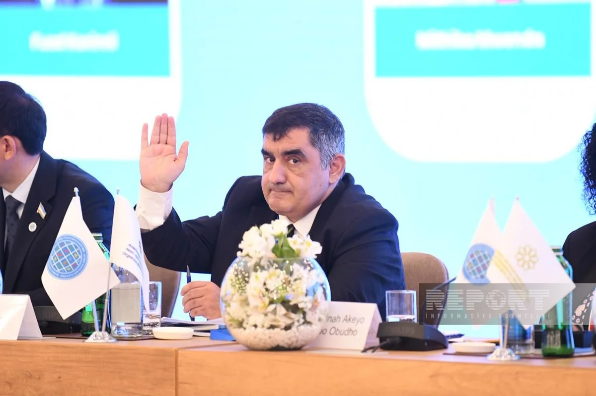 Qlobal Cənub QHT Platformasında katiblik Azərbaycana keçdi - FOTOLAR 2 ql 11 1