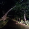 vN8nnYu2Y0YxBj6PixmH8SvvcQMHOgKx07qDTVdE 1200