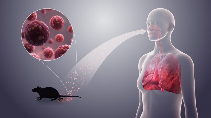 Dünyada yeni virus yayılır – ÜST xəbərdarlıq etdi