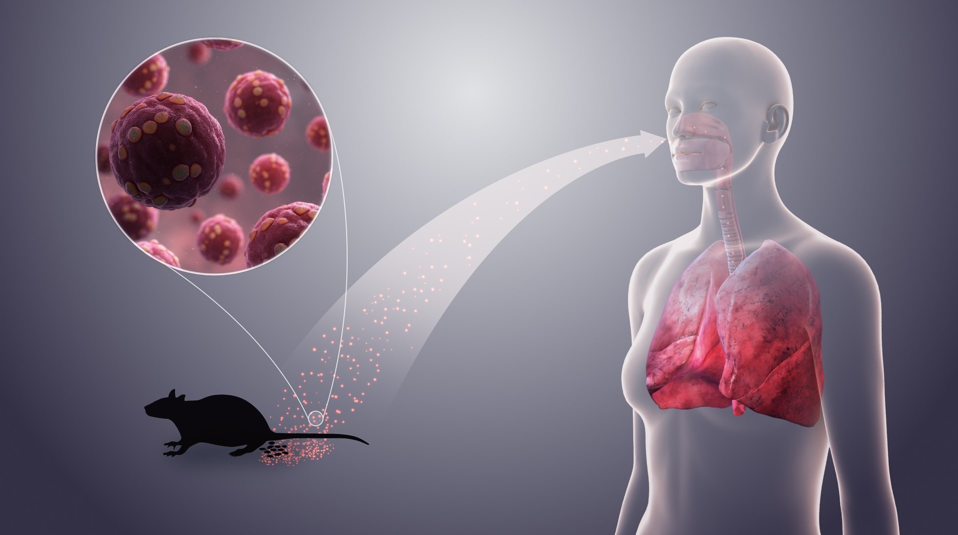 D&uuml;nyada yeni virus yayılır - &Uuml;ST xəbərdarlıq etdi - Globalinfo.az