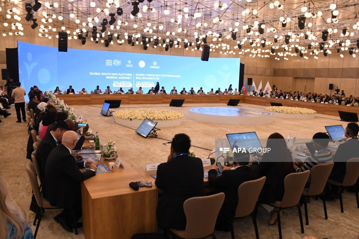 Qlobal Cənub QHT Platformasının Birinci Baş Assambleyası başa çatdı - FOTOLAR 3 vn 33