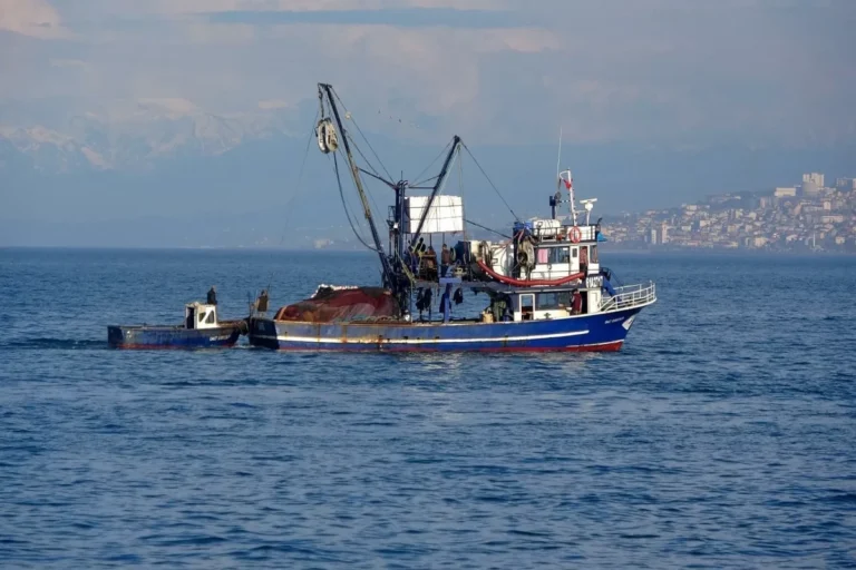 Türkiyə bayraqlı gəmiyə hücum: ölən və yaralananlar var